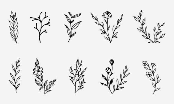 Download Flower Line Drawing Vector Illustration - Premium Resources