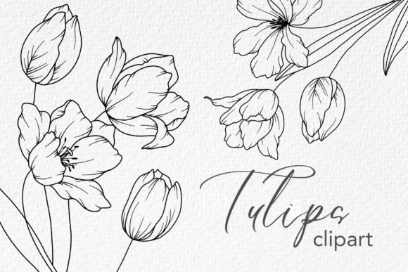 Download Tulips Line Drawing, Floral Line Art - Premium Resources